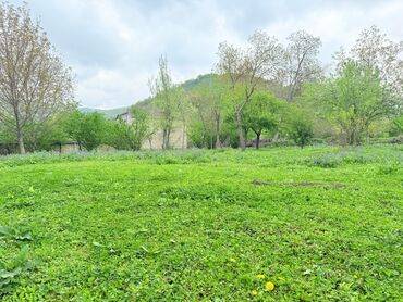 Torpaq sahələrinin satışı: 15 sot, Tikinti, Mülkiyyətçi, Kupça (Çıxarış) — 13