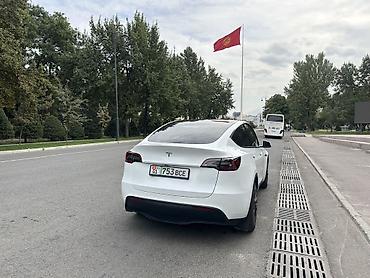 Tesla: Tesla Model Y: 2023 г., Электромобиль, Кроссовер — 3