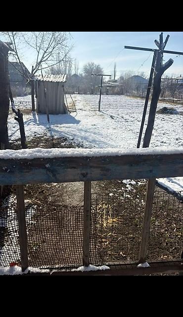 Продажа коттеджей и домов: Продаётся жилой дом с придомовым участком. - Одноэтажный дом из — 8