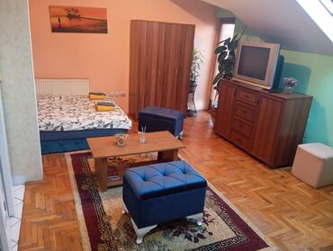 stanovi novi beograd: Studio-stan