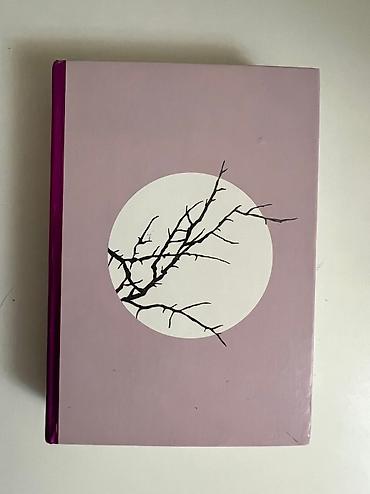Книги и журналы: Книга Злодейский путь автор: Эл Моргот немного потертая но внутри — 5