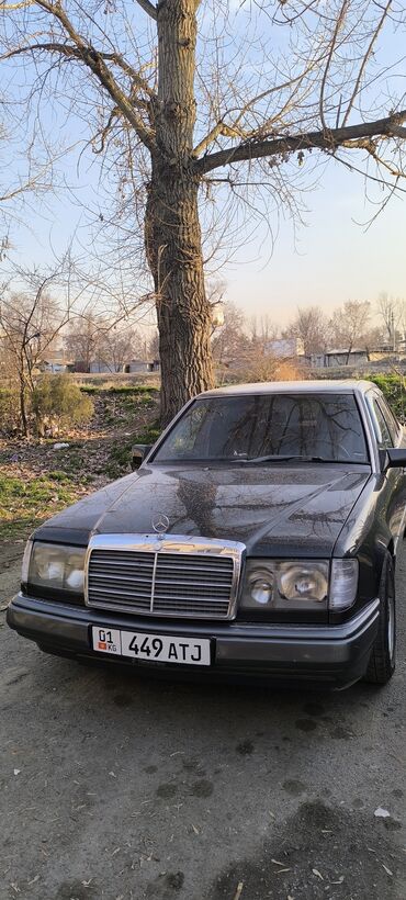 Mercedes-Benz: Mercedes-Benz W124: 1990 г., 2.3 л, Автомат, Газ, Седан