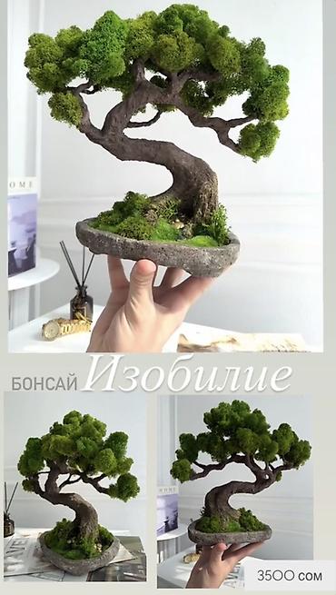 ягель: Другой декор, Платная доставка — 9
