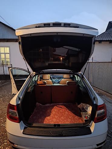 Skoda: Skoda Octavia: 2017 г., Седан — 2