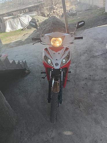 Mopedlər,skuterlər: - EGE seriyası — 3