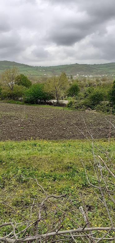 quba rayonu: 41 sot, Kənd təsərrüfatı, Mülkiyyətçi — 3