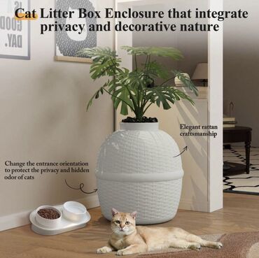 Bio-tualetlər və doldurucular: Salam . yenidir . catdirilma ile birge 80 USD basa gelib. 50 AZN — 8