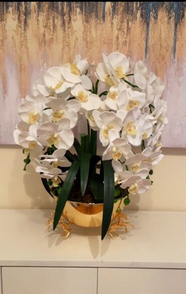 orkide gulu qiymeti: Dekorativ orkide kompozisiyası - Növdə: Ağ falenopsis orkide