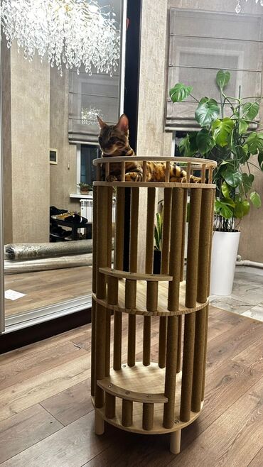 Зоотовары: Кошачий рай: многоуровневый комплекс с когтеточками! Идеальное место