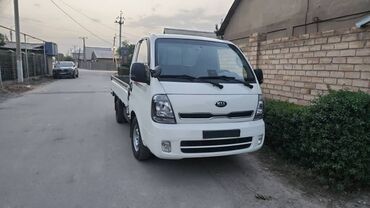 купить сумку органайзер в машину: Легкий грузовик, Kia, Стандарт
