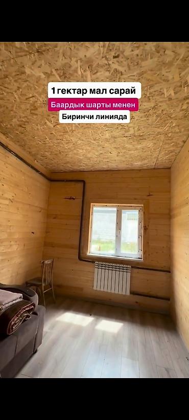Кыймылсыз мүлк: Мүйүздүү бодо мал фермасы, 1000 соток, Жылытуу — 6