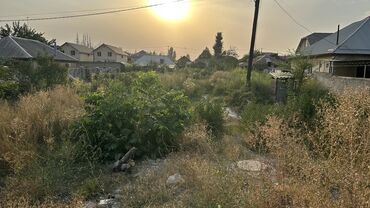 сасновка участок: 22 соток, Курулуш, Кызыл китеп