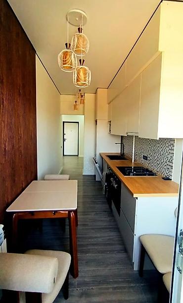 продажа квартира фучика: 1 комната, 44 м², парк Фучика Элитка, 6 этаж, Евроремонт — 4