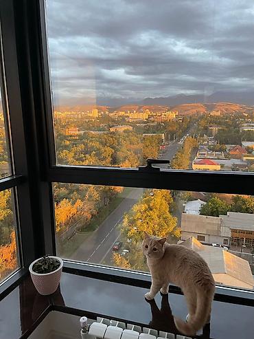 Продажа квартир: 4 комнаты, 125 м², Элитка, 12 этаж, Дизайнерский ремонт — 3