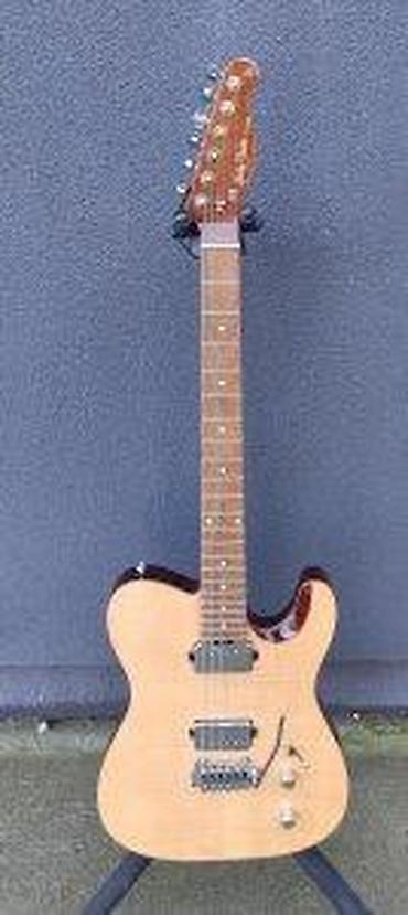akusticne gitare: HARLEY BENTON FUSION-T HH ROASTED FNT B-STOCK | Slanje po dogovoru — 6