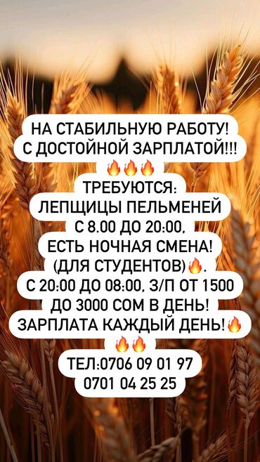 медсестра кара балта: Требуется Разнорабочий на производство, Оплата Ежедневно, Без опыта