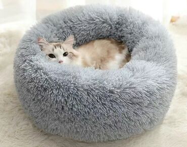 Зоотовары: Зоотовары. 
Авто кормушка и поилка фантан — 17