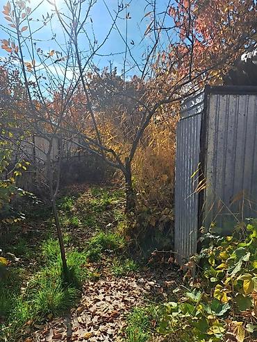 Продажа участков: 5 соток, Для строительства, Тех паспорт, Красная книга, Договор купли-продажи at lalafo.kg — 3 Продажа участков: 5 соток, Для строительства, Тех паспорт, Красная книга, Договор купли-продажи — 3