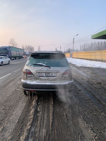 Lexus: Lexus RX: 2001 г., 3 л, Газ — 2