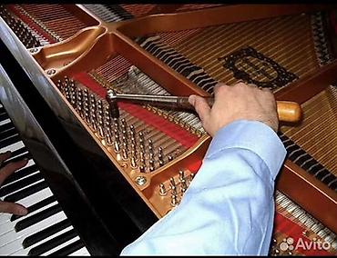 Услуги: Pianino köklənməsi və təmiri. Ремонт и настройка пианино. Bütün — 2