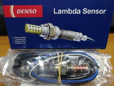 куплю яйца оптом бишкек: Оригинальные лямбда зонды Denso! Гарантия, установка. Лямбда зонд -