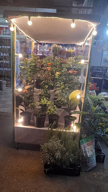 Оборудование для магазинов: LED işıqlı vitrin/stand - 3 pilləli nümayiş rəfi: çiçək və bitkilər — 3
