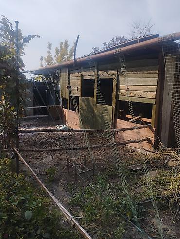 Продажа коттеджей и домов: Продается дом жилой с отоплением умная печка сарай Баня в принципе со — 10