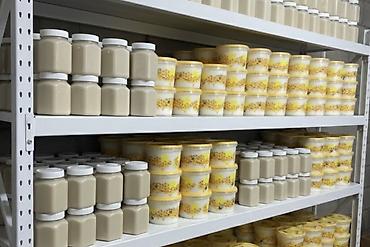 Мёд: Эспарцетовый мёд (белый крем-мёд), Ат-Башы Натуральный эспарцетовый — 2