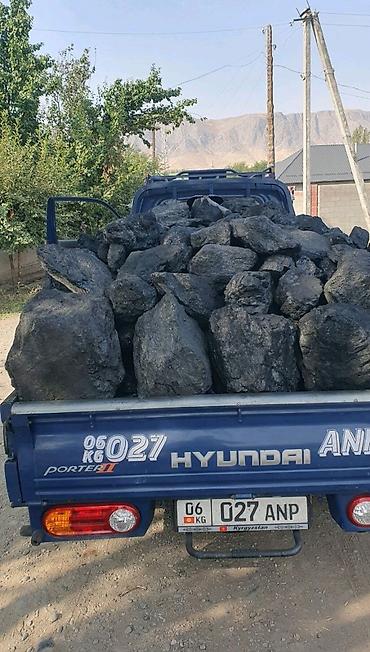 Бел алма күшы жакшы йирик саппатүү даставка бар сомасвал местада — 1