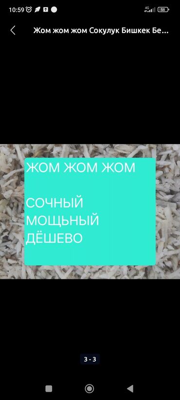 куры домашные: Жом (жомка) для кормления скота - Натуральный, сочный, влажный жом —