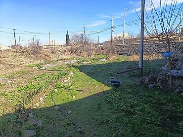 Həyət evləri və villaların satışı: 3 otaqlı, 3 kv. m — 4