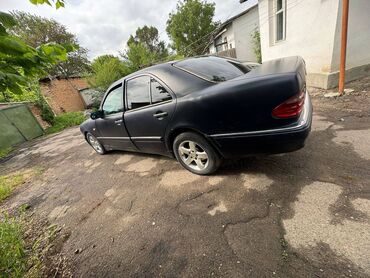 купить семена цветов в бишкеке: Mercedes-Benz : 1998 г., 4.3 л, Автомат, Бензин, Седан