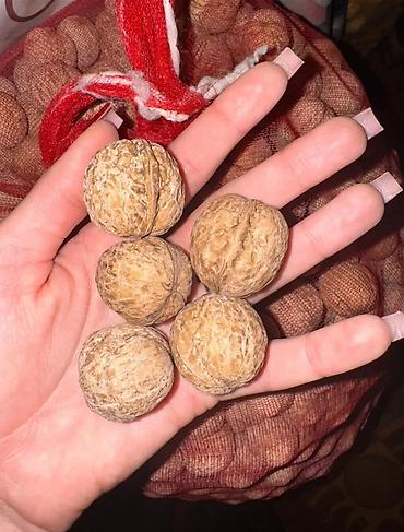 полка магазина: Грецкий орех, В скорлупе, В розницу — 3