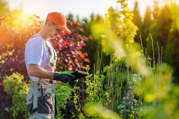 Остальные услуги: Садовник на выезд Читайте внимательно Уборка сада, посадка деревьев