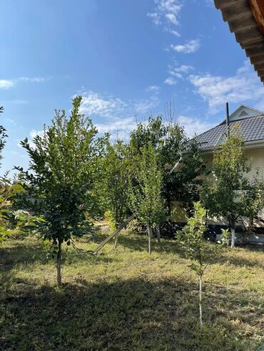 Продажа домов: Дом, 125 м², 5 комнат, Собственник at lalafo.kg — 6 Продажа домов: Дом, 125 м², 5 комнат, Собственник — 6