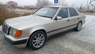 Mercedes-Benz: Mercedes-Benz W124: 1990 г., 2.3 л, Механика, Газ, Седан