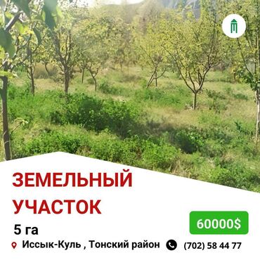 участок на иссыккуль: 500 соток, Для бизнеса, Красная книга, Тех паспорт, Договор купли-продажи