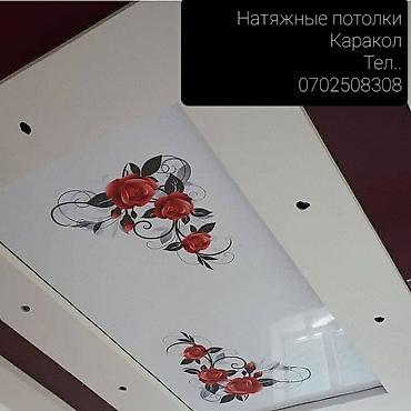 sprinter 315: Натяжные Потолки г. Каракол и регионам за 2 часа установка бесп — 4