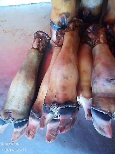 продаю овец: Ножки, Бесплатная доставка — 2