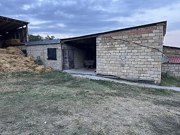 quba torpaq satilir 2021: 18 sot, Kənd təsərrüfatı, Mülkiyyətçi, Kupça (Çıxarış) — 6