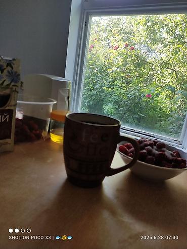 Продажа коттеджей и домов: Дом в ЧолпонАте р-он Хутор на участке более 10соток Продажа, два дома — 20