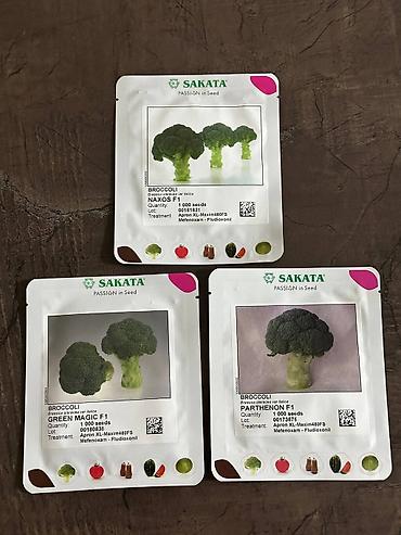 Другие овощные культуры: Семена овощных культур SAKATA (профессиональная серия, фасовка по 1000 — 4