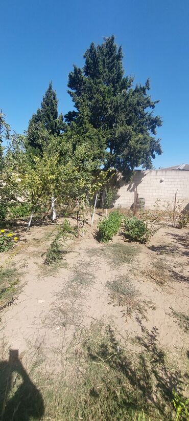 Həyət evləri və villaların satışı: Buzovna 3 otaqlı, 100 kv. m, Kredit yoxdur, Orta təmir — 12