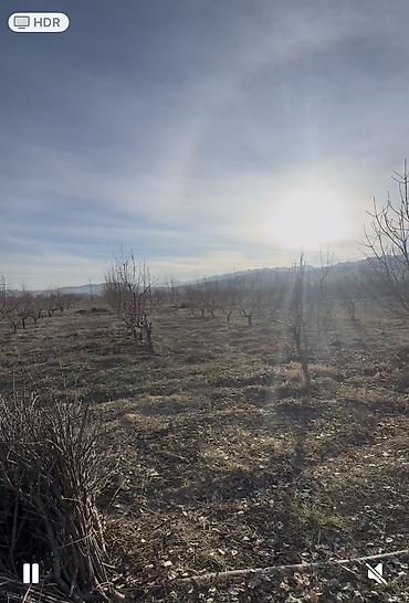 Продажа участков: 100 соток, Для бизнеса, Договор купли-продажи at lalafo.kg — 6 Продажа участков: 100 соток, Для бизнеса, Договор купли-продажи — 6