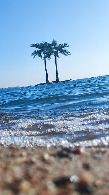 Иссык-Куль 2026: Коттедж, КОТТЕДЖ ЦО Palm Beach, Чок-Тал, Детская площадка, Парковка, стоянка, Охраняемая территория — 22