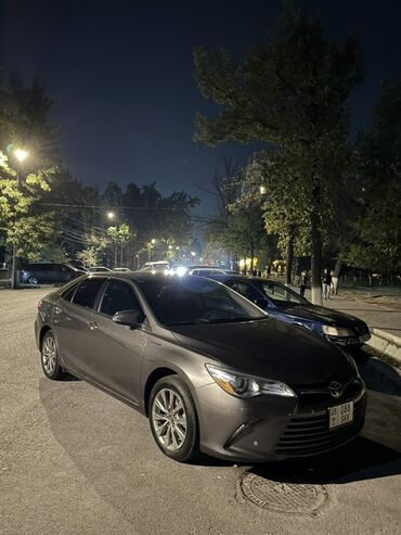 лексус алтезза: Toyota Camry: 2016 г., 2.5 л, Вариатор, Гибрид, Седан