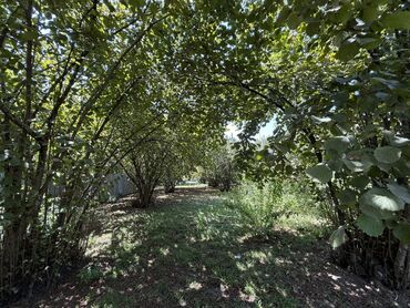 Həyət evləri və villaların satışı: Satılır: geniş və işıqlı həyət evi - Planlama: bir neçə otaqdan — 10