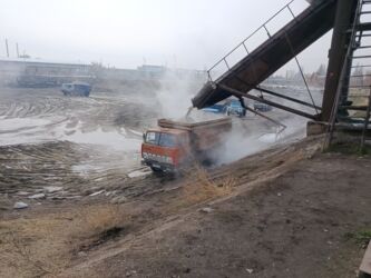 дом для животных: Жом доставка Услуга по доставке свежего свекловичного жома с