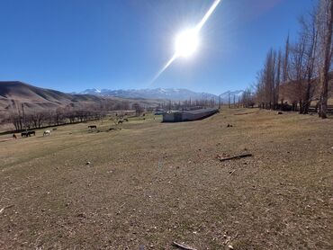 Сельхоз предприятия: Продаю Кошара, 150 соток, Действующий, С оборудованием, Электричество, Холодная вода — 8