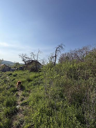 Продажа участков: 5 соток, Для строительства, Красная книга, Договор купли-продажи — 6